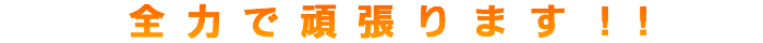 全力で頑張ります!!